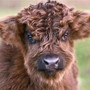 Meet your Posher, Paul